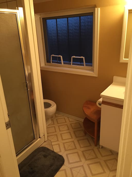 Standard washroom, shower has great water pressure.