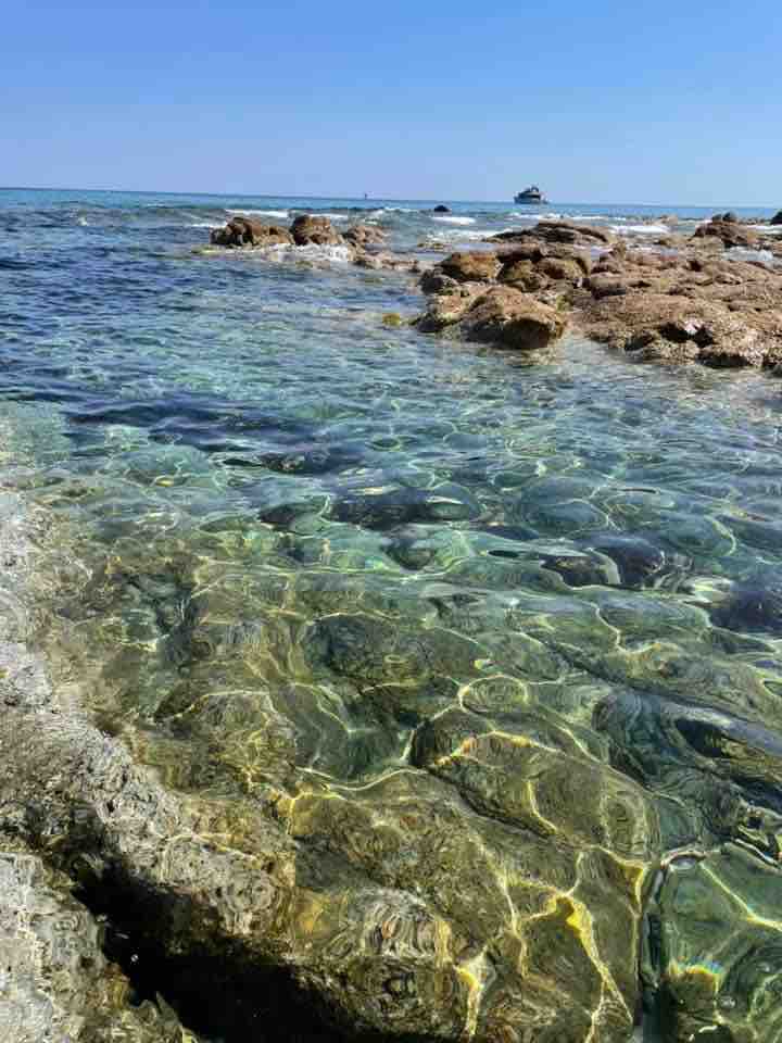 The image displays a clear view of the water along the rocky shoreline. Sunlight reflects off the surface, showcasing the vibrant colors of the underwater rocks and marine life. Various shapes and textures are visible in the shallows, adding to the natural beauty of the coastal environment.