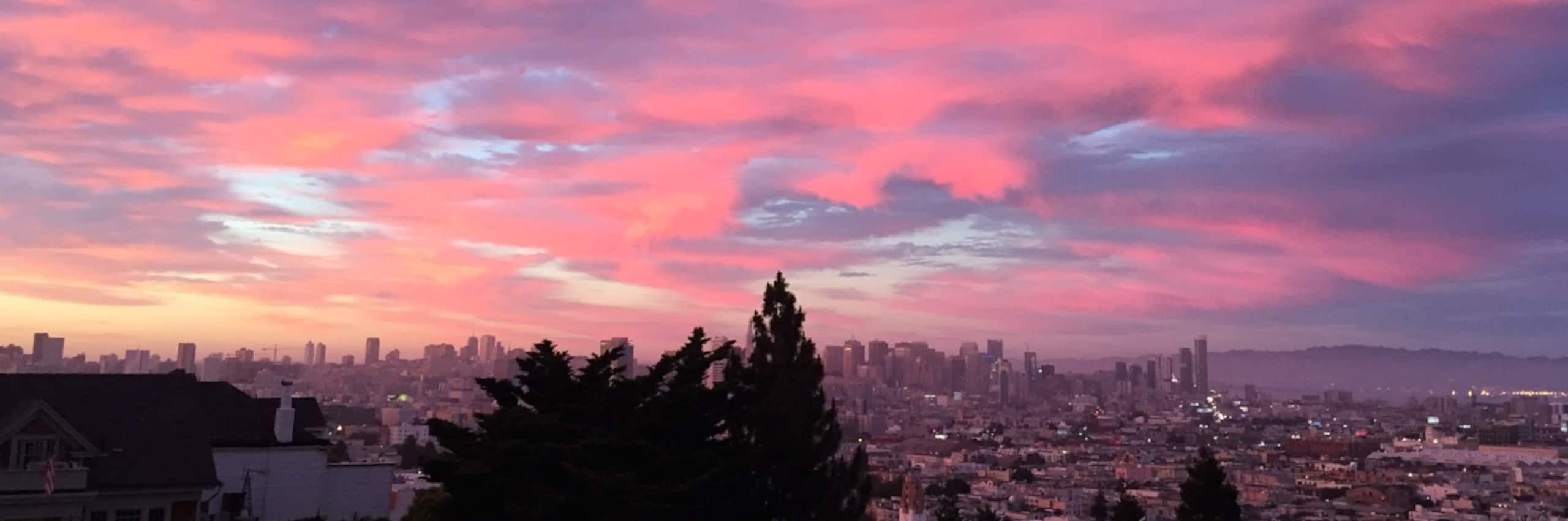 Dolores Park Garden Suite - Image 16