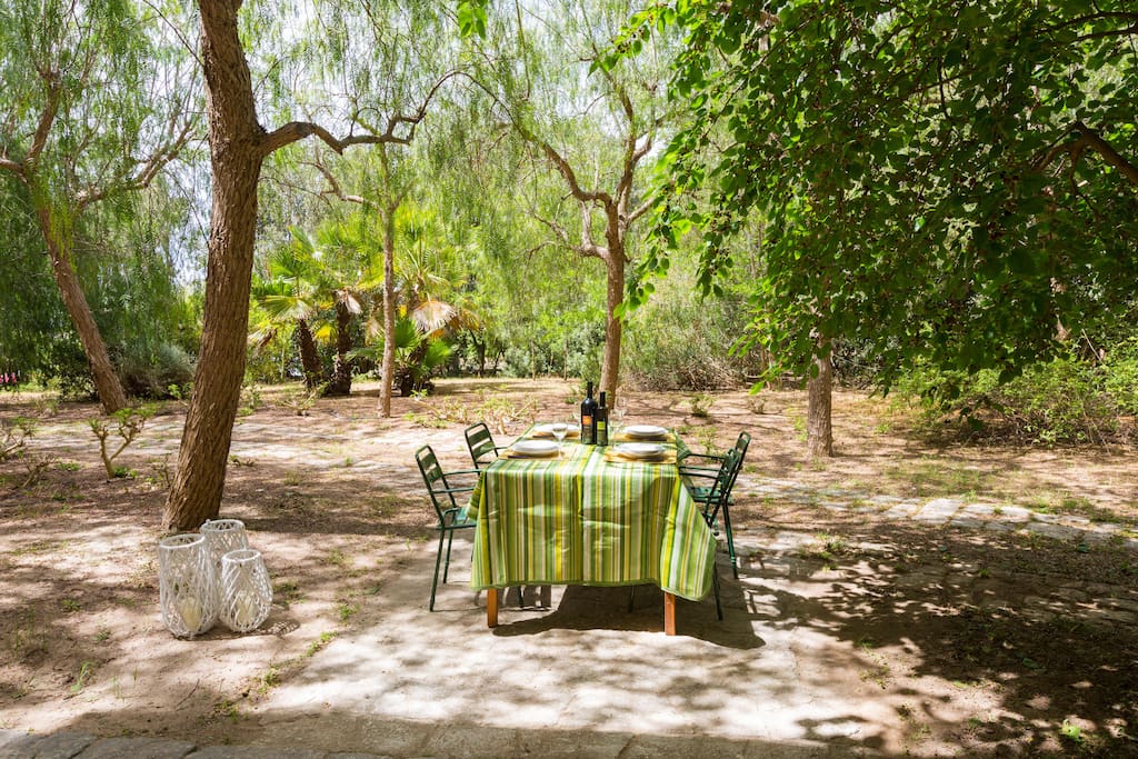 The garden