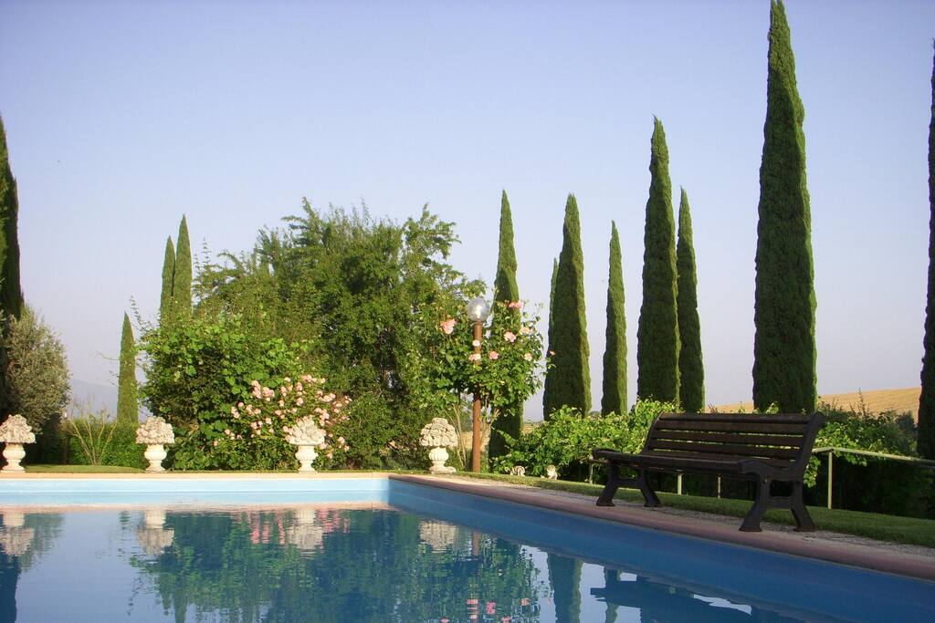 View from the swimmingpool