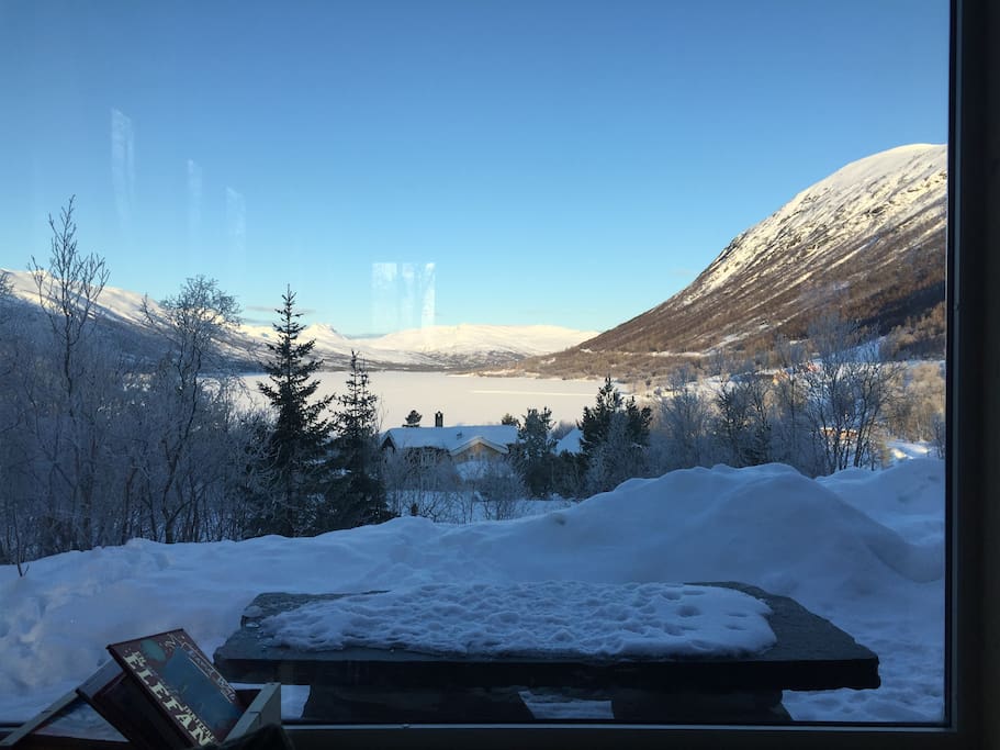 Utsikt vinter