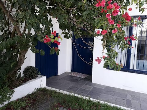 Top performing Airbnb: Punta del Este Apartment/House in Punta Del Este