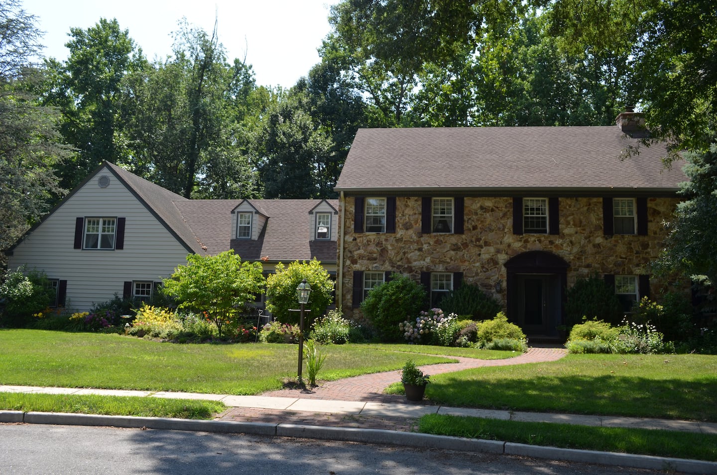 Leafy Setting