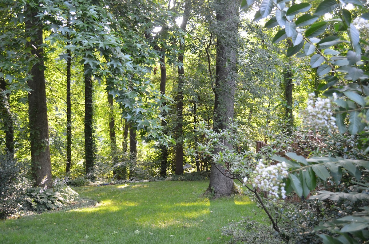 Leafy Setting
