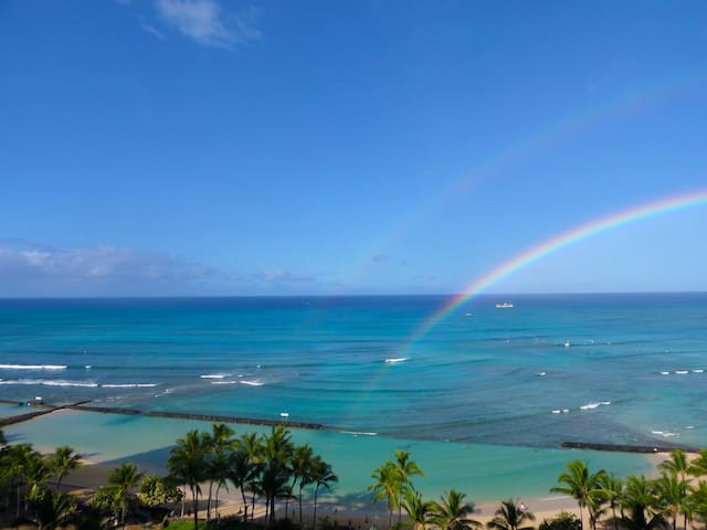 New Reno! Direct Oceanfront @ Waikiki Beach Tower
