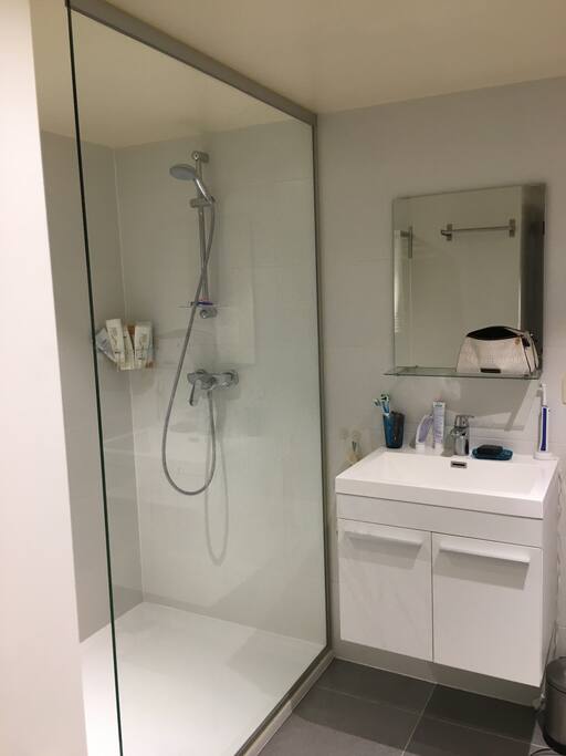 Bathroom (separate room with door) with large shower and toilet.