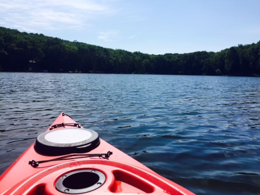 Kayak your way to Silver Island, a 5-acre gem in the middle of lake, home to our native swans.