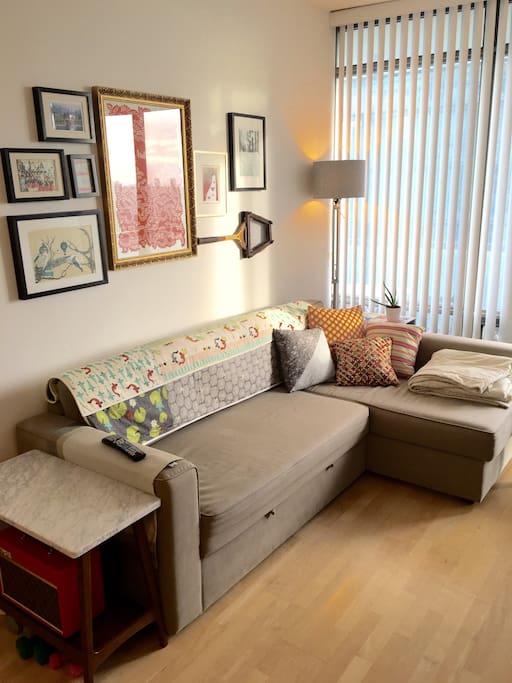 living room modernly furnished - this couch can be pulled out to make a full size comfy bed for additional guest.