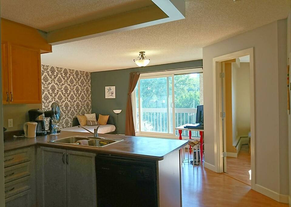 Open concept kitchen and living room