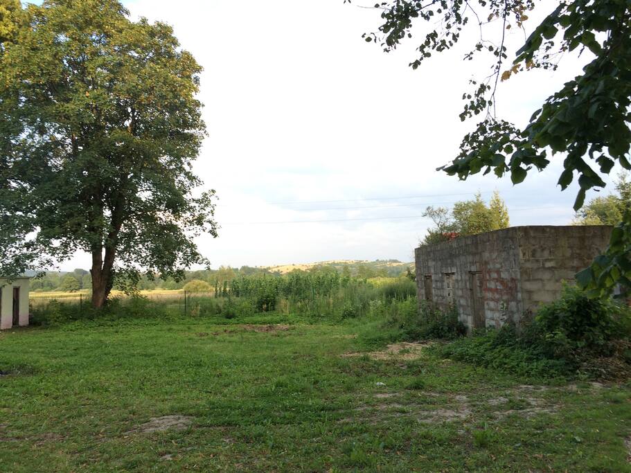 Backyard with field toilets visible on the left hand side.