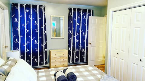 Recently Renovated Downtown Lincoln Home