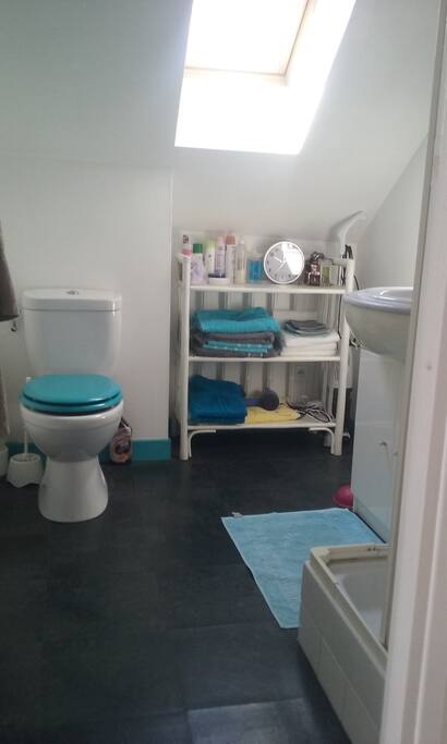 Salle de bains