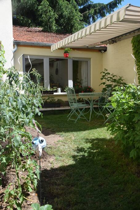 Dejeuner sur l'herbe! Enjoy our figs, raspberries and blackberries in summertime.