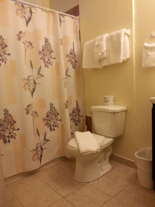 Full sized bathroom