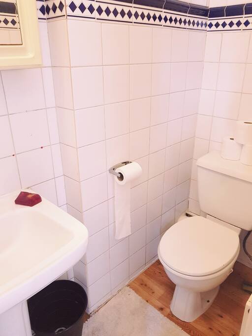 small shower and toilet