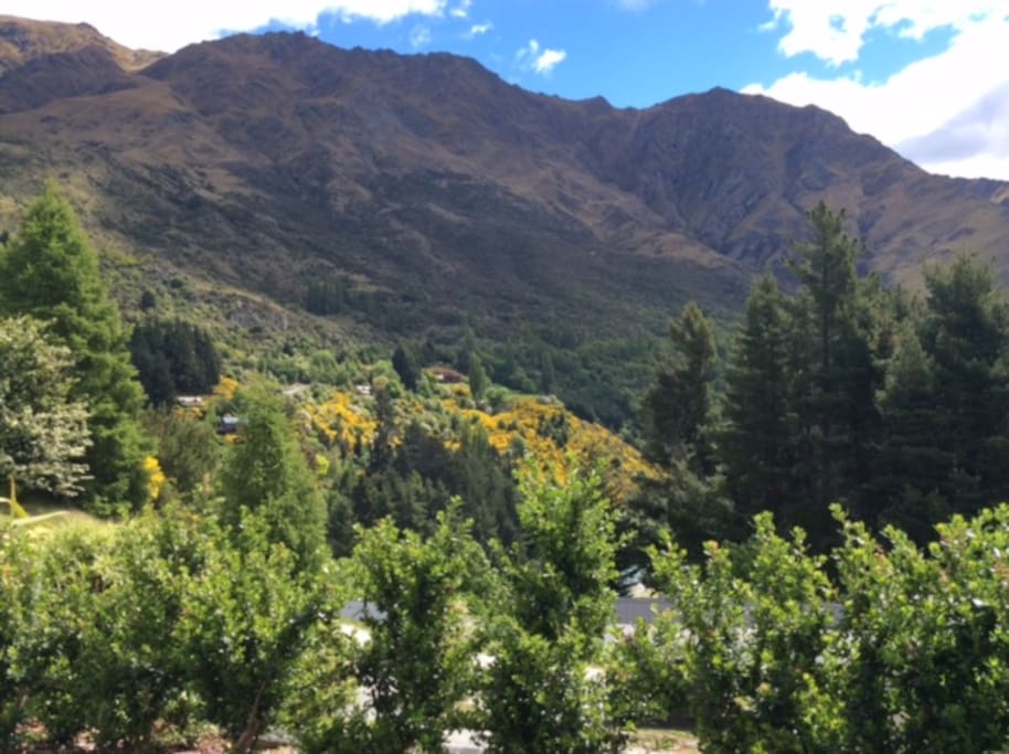Mountain Views