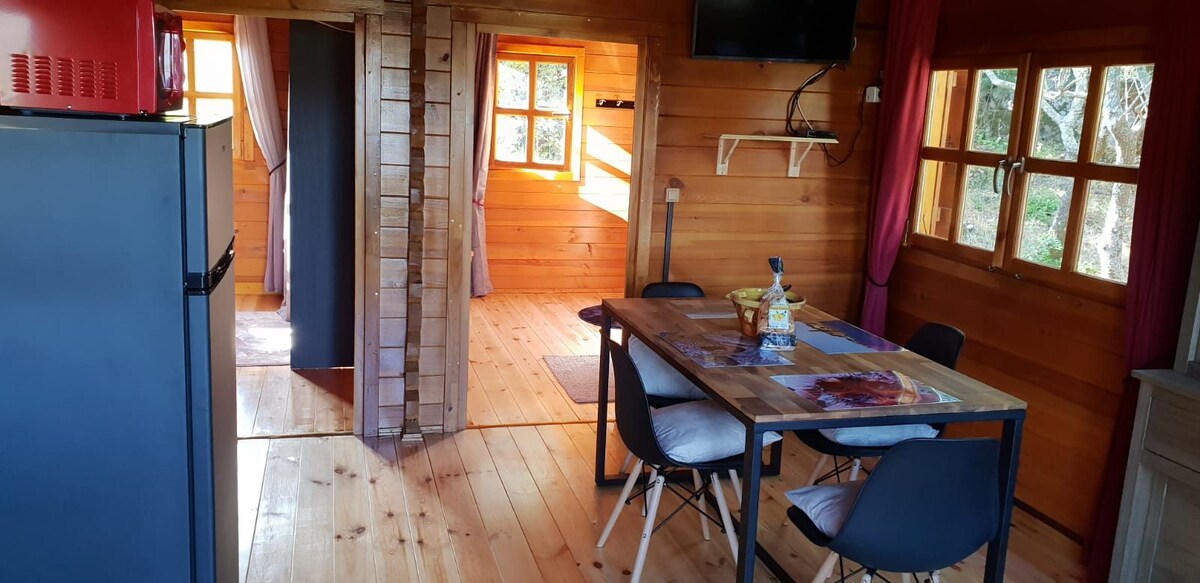 A wooden interior features warm hues and natural lighting from multiple windows. A dining table with six chairs is centrally located, while a cozy sitting area is positioned nearby. A television is mounted on the wall, adding to the functional design of the space.