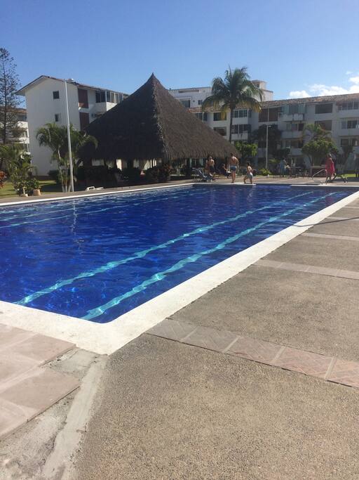 alberca amplia con palapa con wifi