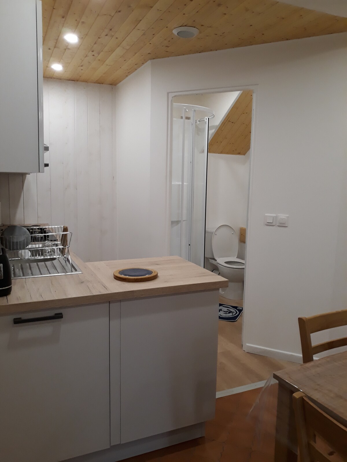 A functional kitchen area features modern cabinetry and a countertop with a small dish rack. A doorway leads to a compact bathroom, where a shower and toilet are visible. Wooden elements in the ceiling provide warmth to the clean, neutral space.