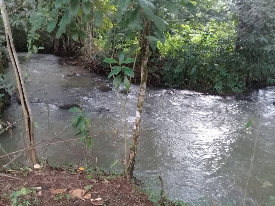 Rio dentro de la quinta