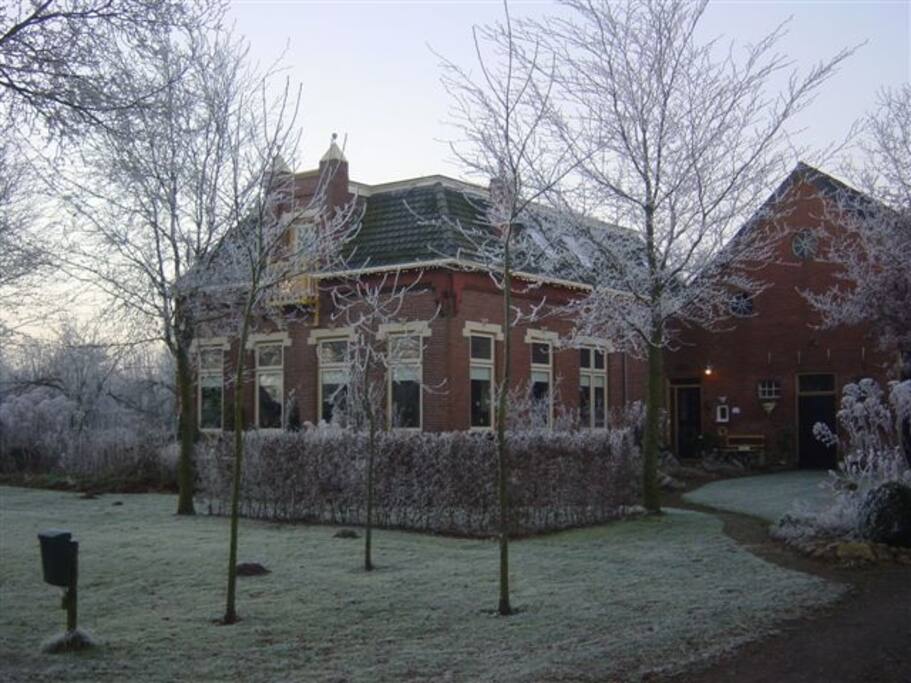 Winterbeeld!