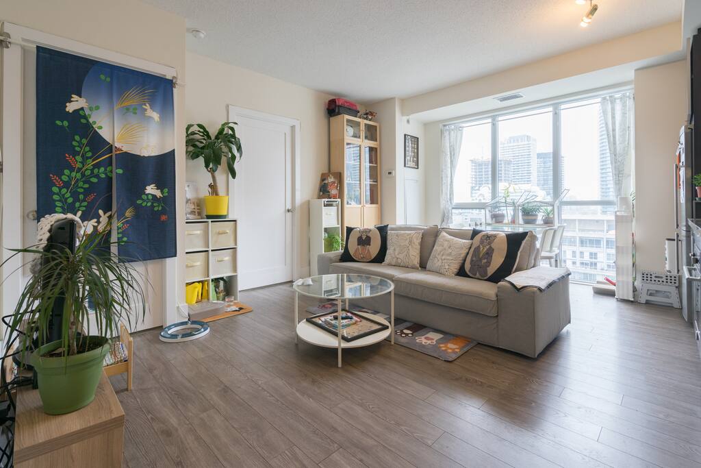 Living room & Kitchen