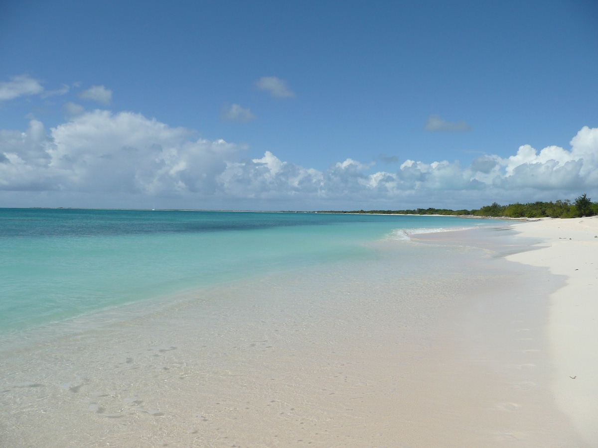 A serene beach scene features soft, pink sand blending with clear, turquoise waters. Gentle waves lap at the shore under a bright blue sky adorned with fluffy, white clouds. The beach stretches into the distance, surrounded by green vegetation.