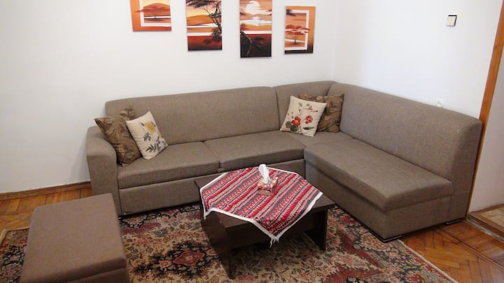 *Living room with folding table and sofa.
*Гостиная с раскладным столом и диваном.
