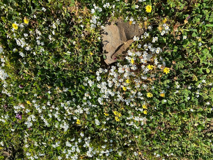 10 Best Airbnb Vacation Rentals In Oroville, California Updated 2024