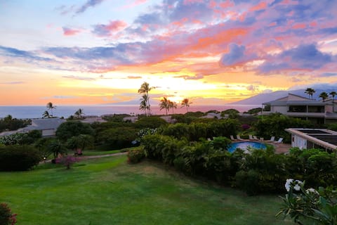 Ocean View  Wailea Ekolu Condo #804