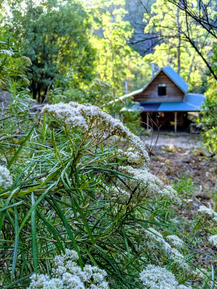 Walhalla Holiday Rentals & Homes Victoria, Australia Airbnb