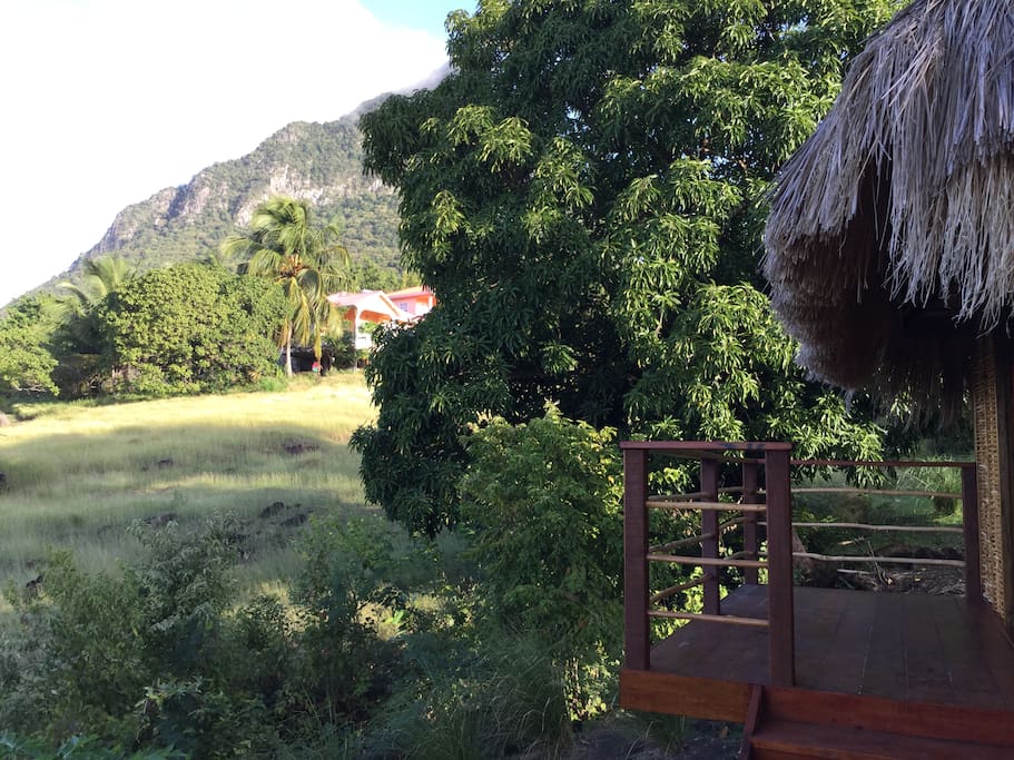 View of Yukahu (aka Gros Piton)