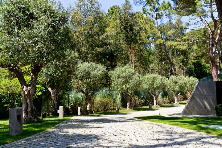 Villa Monte Serves – Colares,Sintra gallery image 3