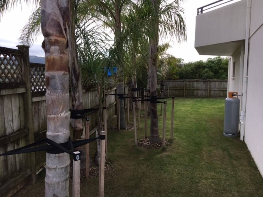 Lawn area