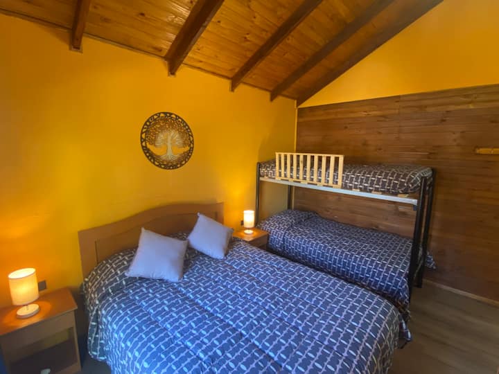 Habitación 1
