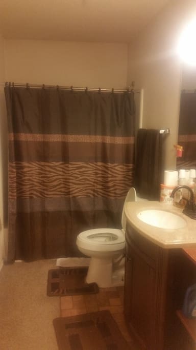 The bathroom (1)
