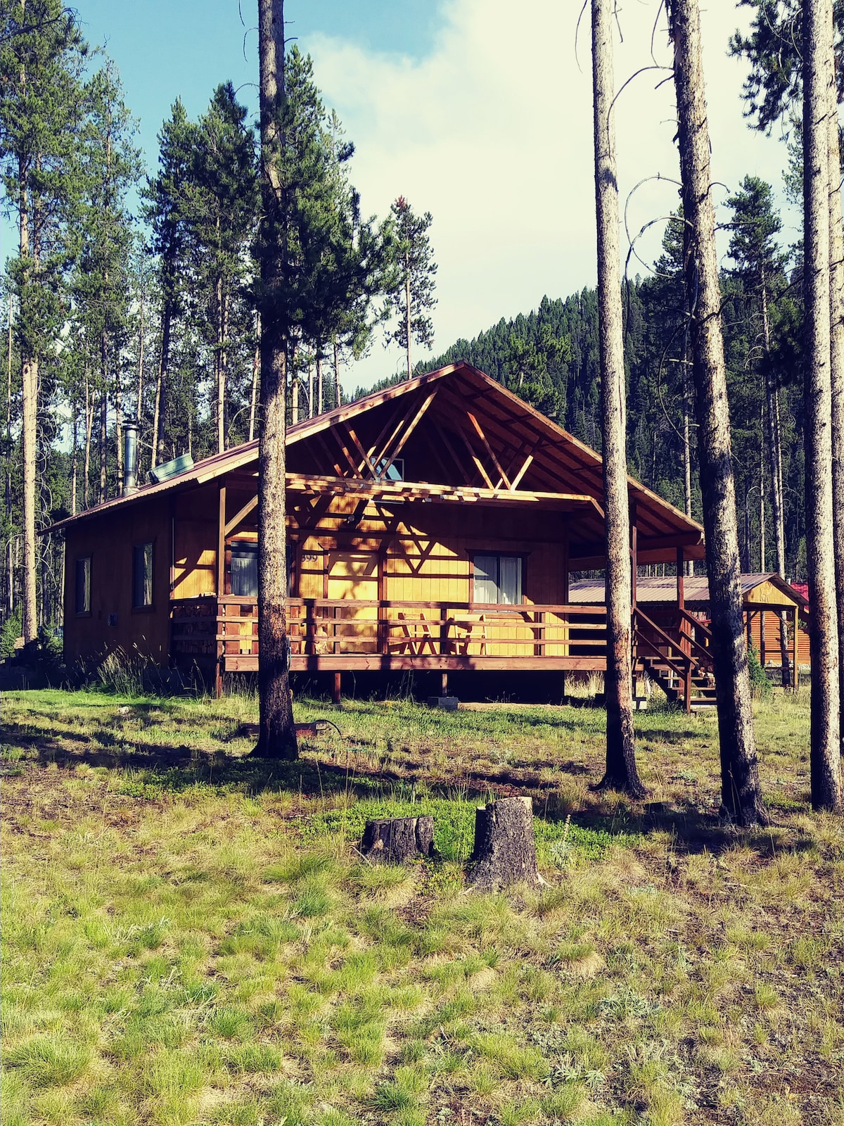 The cabin is surrounded by tall trees, featuring a wooden exterior with a sloped roof. A spacious deck extends from the front, bordered by green grass and natural landscape, inviting guests to enjoy the serene setting.