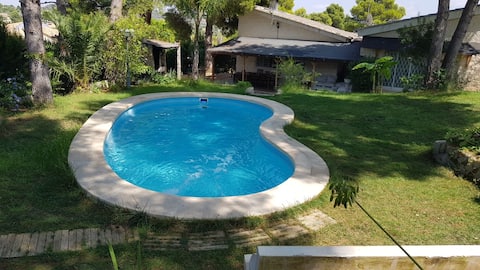 House with a private pool in Turis, Valencia