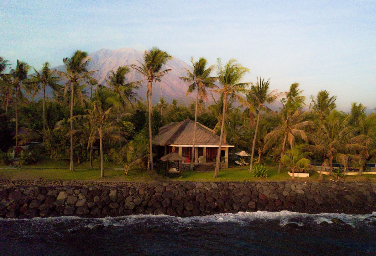 A tropical bungalow is surrounded by lush palm trees, positioned along a rocky shoreline. The distant mountains provide a scenic backdrop, while the calm water reflects the soft morning light. A spacious lawn area is visible, inviting relaxation by the sea.