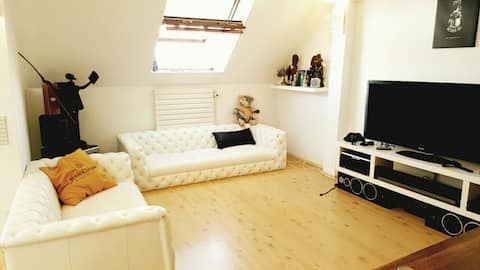 Top Airbnb: Unique artistic Loft, Center, amazing view aircon. in Lehen