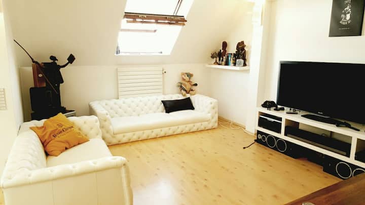 Appartement De Luxe, Centre Climatisation - Stuttgart