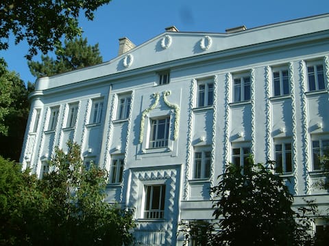 Top performing Airbnb: Elegant studio near the U-Bahn in Hietzing