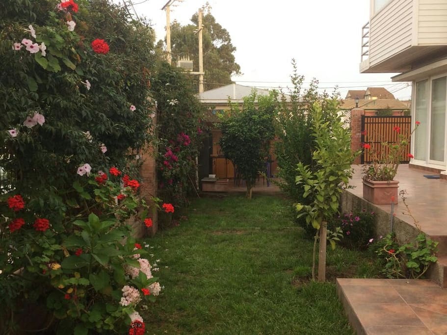 Jardin