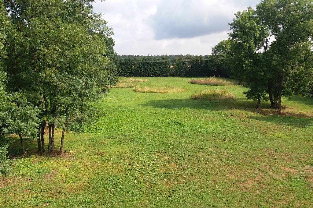 Vue du pré