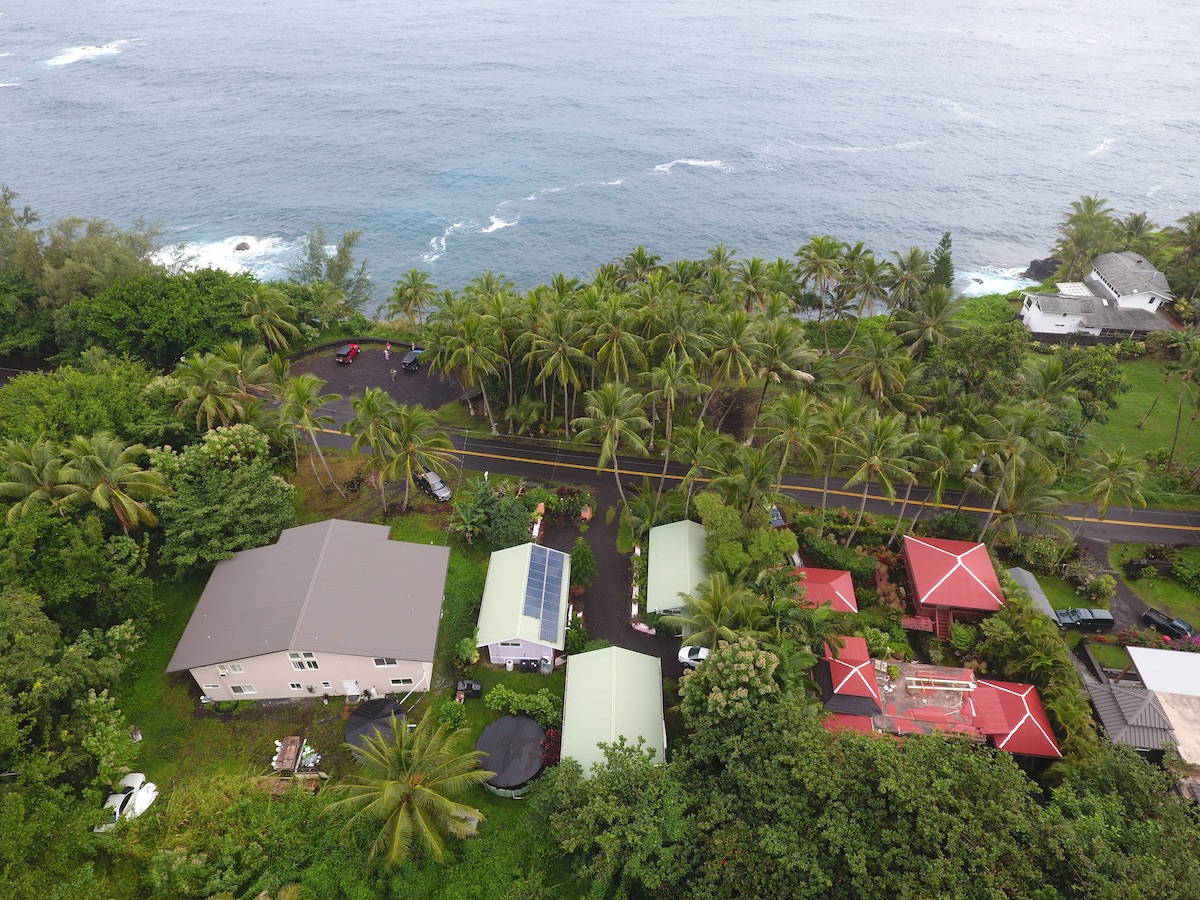 An aerial view showcases a coastal community surrounded by lush greenery and palm trees. Several colorful cottages with red and green roofs are visible, along with a winding road leading to the ocean. The waves gently break against the shore, highlighting the natural beauty of the area.