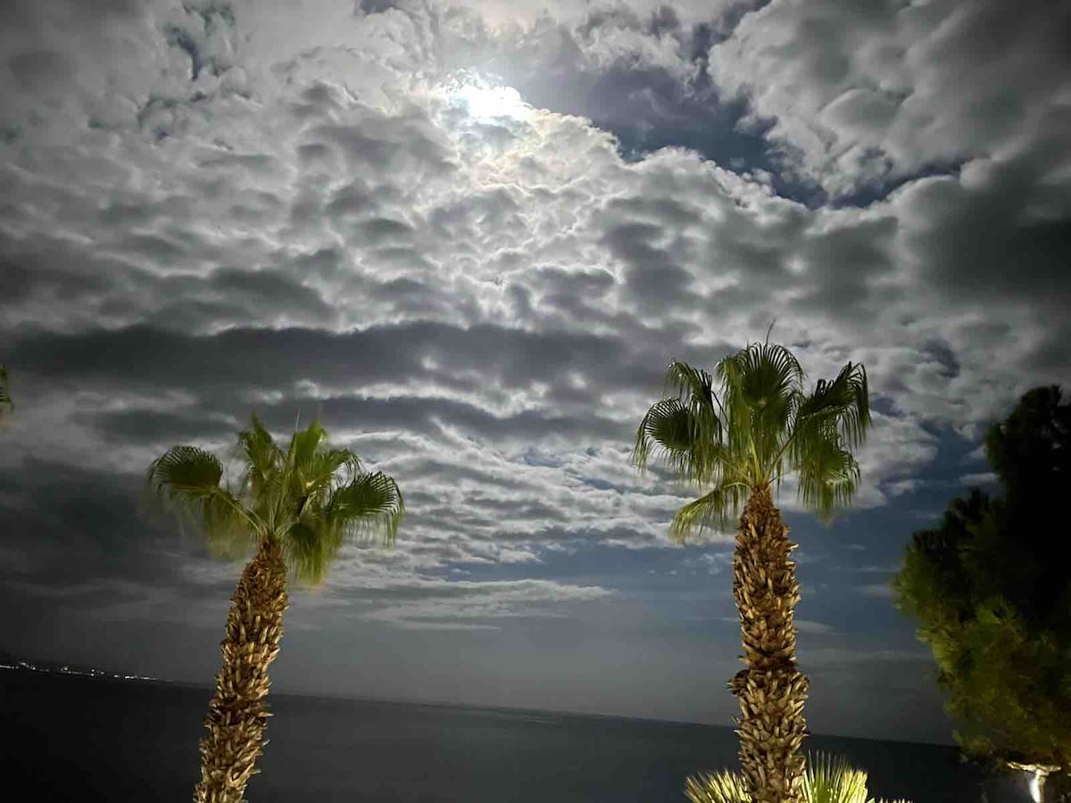 Two palm trees frame the scene, standing against a backdrop of textured clouds illuminated by moonlight. The tranquil sea is visible, enhancing the serene ambiance of the coastal location. The overall atmosphere evokes a calming night by the shore.