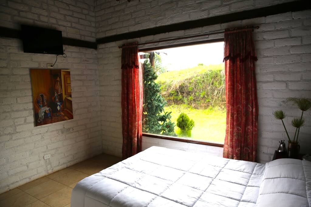 Vista hacia el jardin desde la habitación