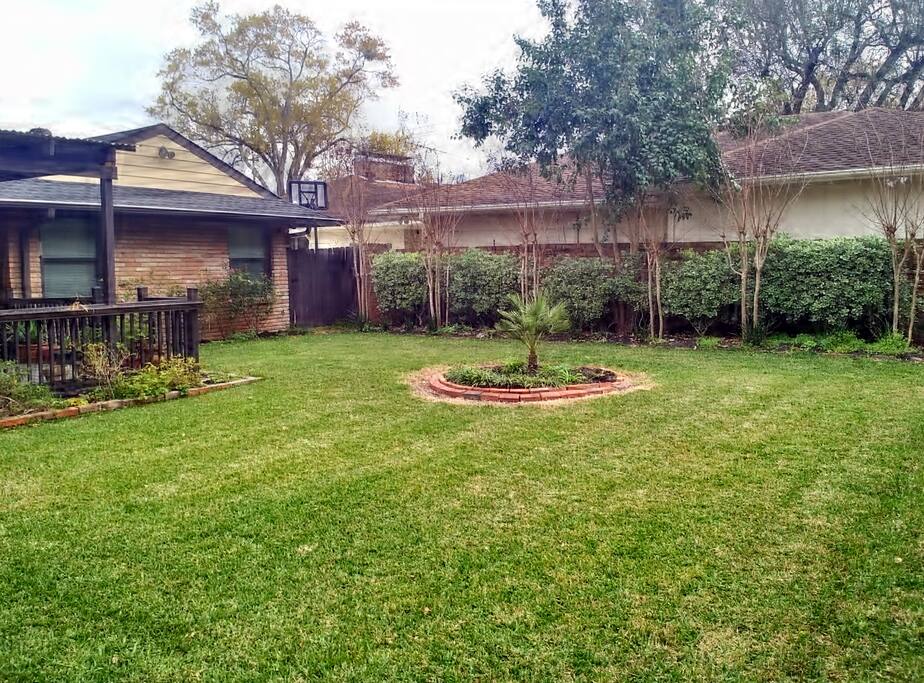 Backyard