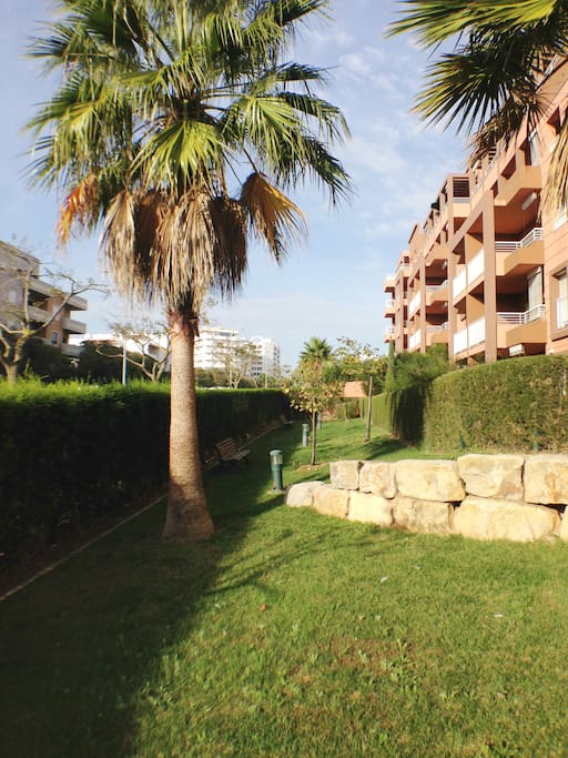 Jardim tranquilo nas traseiras/ Relaxing space